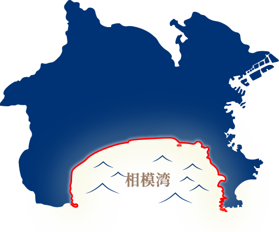 相模湾の海岸線地図